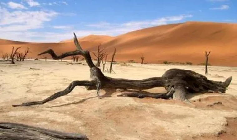 En yüksek sıcaklık - Death Valley