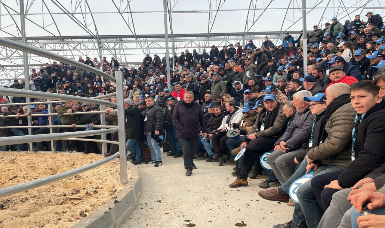 Trakya’nın ilk mezatında en ucuz 145 bin, en pahalısı 225 bin tl’den satıldı.