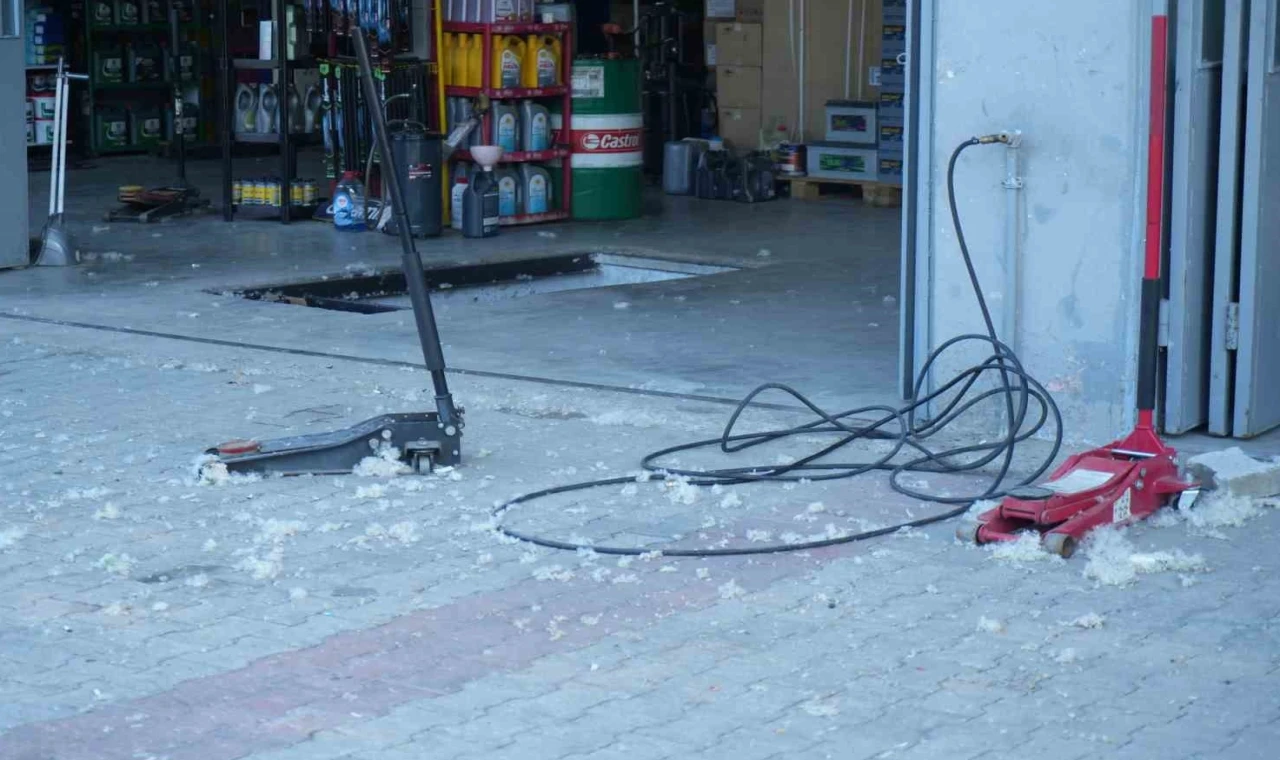 Ağrı’da kavak poleni için belediyeye önlem çağrısı!