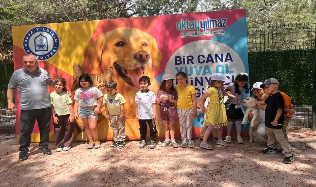 Bursa Yıldırım’da sahisiz sokak hayvanları öğrencileri ağırladı
