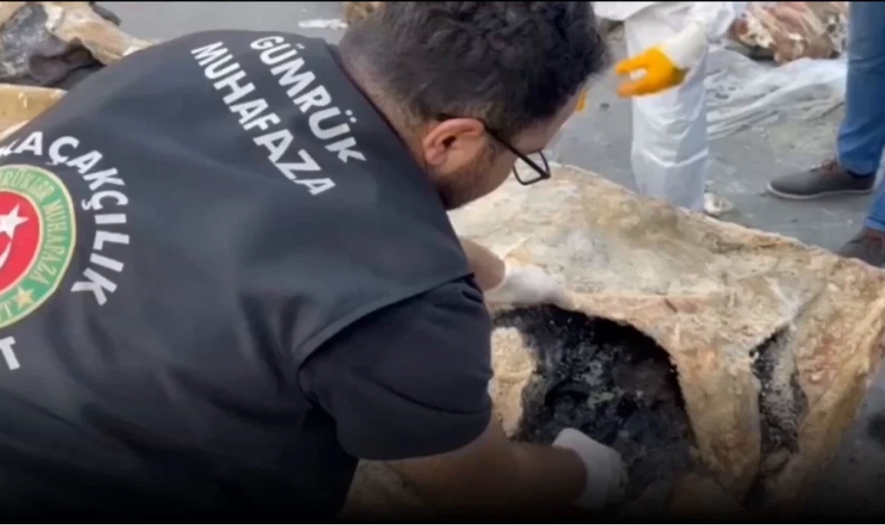 Hamzabeyli’nde yaban hayvanı kaçakçılığına darbe! 2 vaşak ve 2 serval kurtarıldı