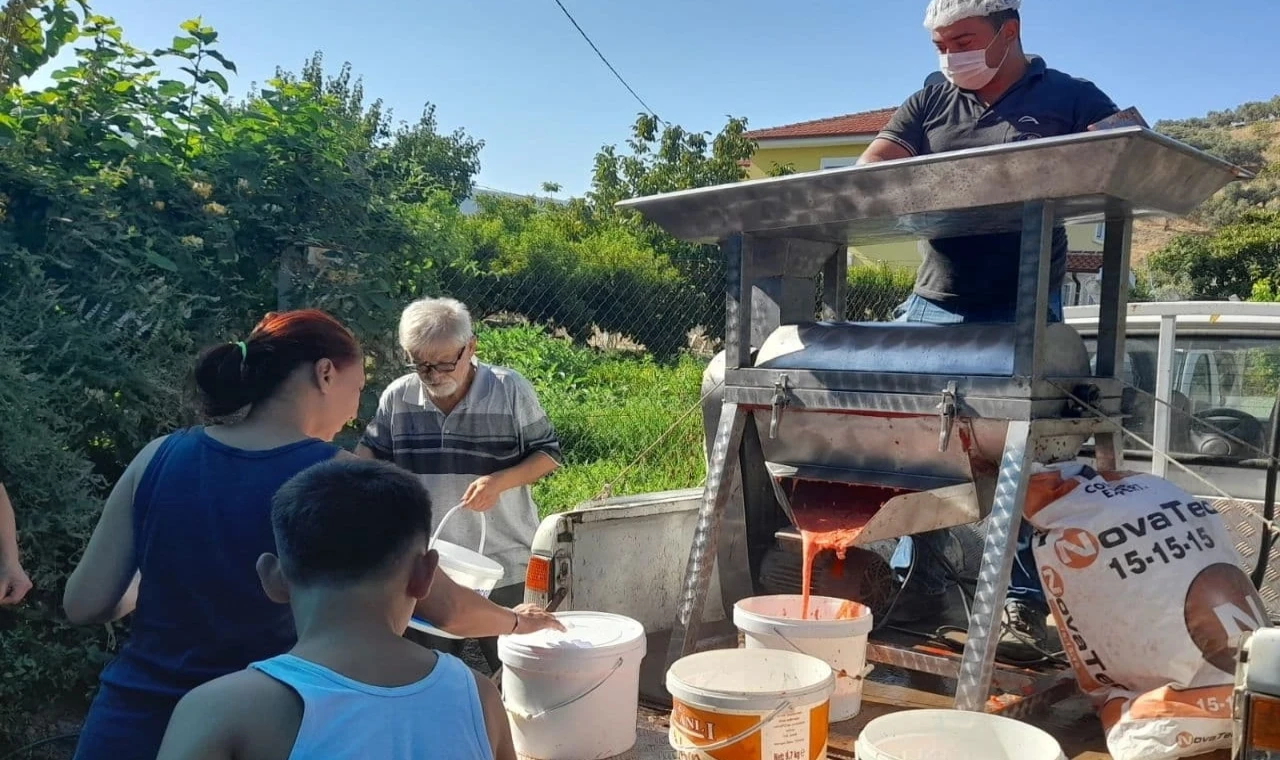 İzmir Efes Selçuk’ta kışlık domates hazırlığı