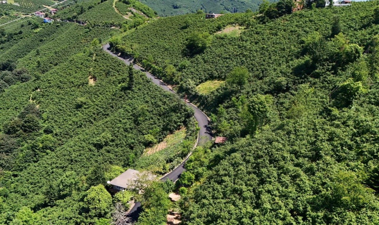 Ordu’da 3,5 kilometrelik asfalt tamamlandı