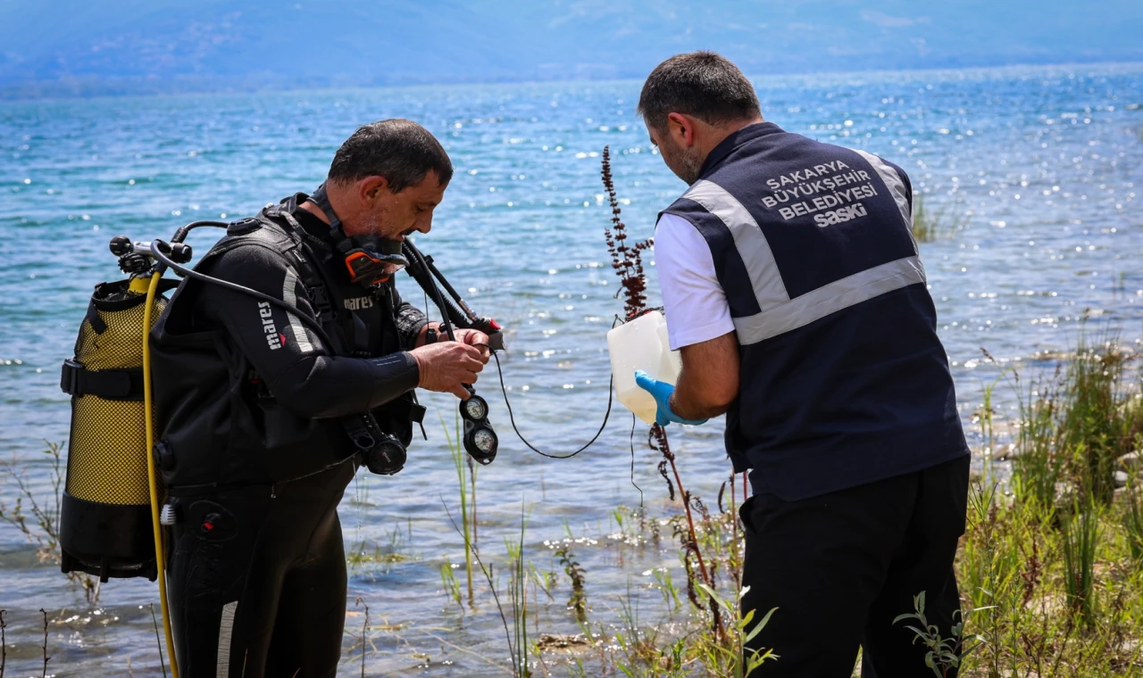 Sapanca’daki alg oluşumu mevsimsel