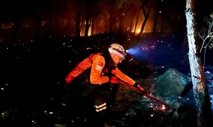 Buca Belediyesi yangının ortasında kalan canlara kucak açtı
