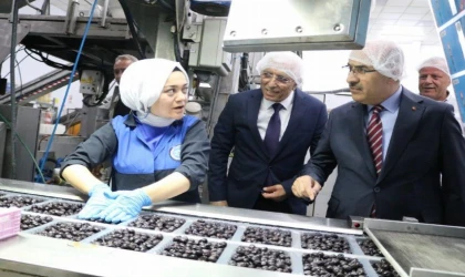 Bursa Valisi Demirtaş’tan Marmarabirlik’e ziyaret