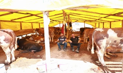 Gebze’de kurban pazarında satışlar başladı