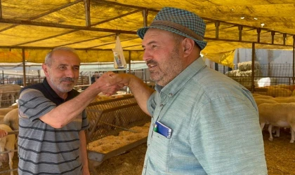 İzmit’te modern pazarda kurbanlık alışverişi sürüyor