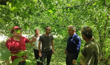Son zamanlarda yüksek seyreden hava sıcaklığında yaşanan ani düşüş ve beraberinde gelen rüzgarlı ve yağışlı hava, bir çok bölgede olduğu gibi Kandıra’da etkisini gösterdi