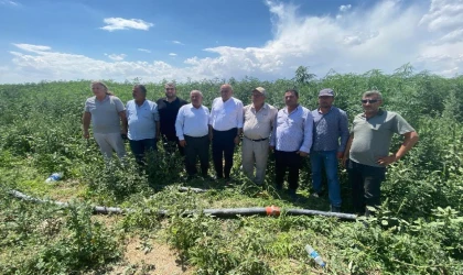 PANKOBİRLİK: Önümüzdeki yıl sanayi alt yapısına başlayacağız