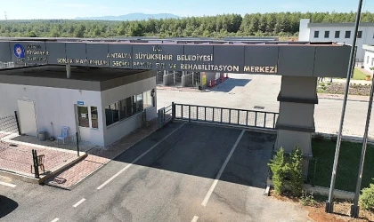 Sosyal belediyecilikte en iyisi Antalya Büyükşehir