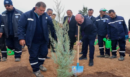Konya Sille’de fidanlar toprakla buluştu