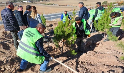 Sivas’ta mevsimlik işçiler adına hatıra ormanı