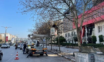 Mimar Sinan Bulvarı’ndaki Çınar Ağaçlarına Kış Bakımı Yapıldı
