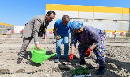 İzmir Bornova’da Kent Bostanları yaygınlaşıyor
