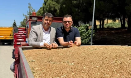 TMO 25 bin ton buğday aldı