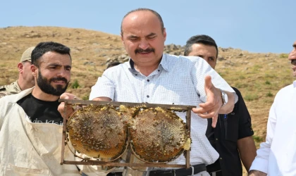 Batmanda bah hasadı