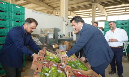 Bursa Yenişehir’in tarım ürünleri Libya yolunda... İlk numuneler gönderildi