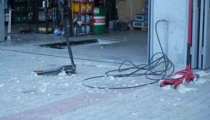 Ağrı’da kavak poleni için belediyeye önlem çağrısı!
