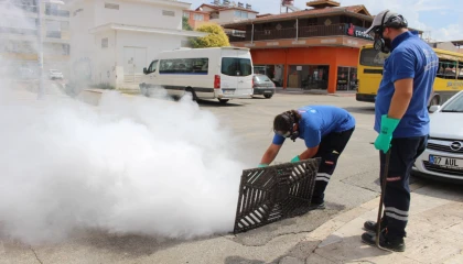 Antalya’da 19 ilçede yoğun vektörle mücadele
