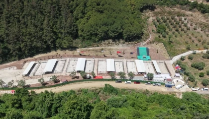 Bursa Gemlik’te sahipsiz hayvanlara modern yaşam alanı