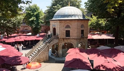 Bursa Kozahan için teknik inceleme
