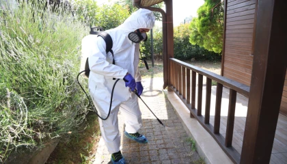 Bursa Nilüfer’de haşere ve kemirgen mücadelesi