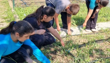 Bursa Nilüferli öğrenciler kendi bitkilerini yetiştirecek