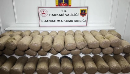 Hakkari’de 503 kilo esrar ele geçirildi