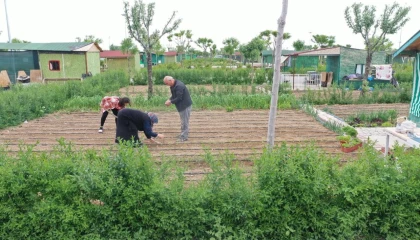 Hobi bahçesi dönemi sona erdi