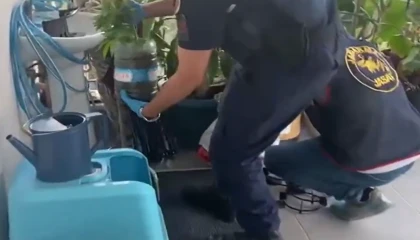 Jandarma’dan 5 ilde uyuşturucuya 341 gözaltı
