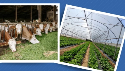 Kırsal Kalkınma Yatırım Programı başvuruları 3 Temmuz’a uzatıldı