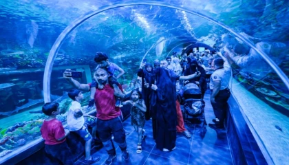 Körfez Aqua Kıtalar Akvaryumu’na yoğun ilgi