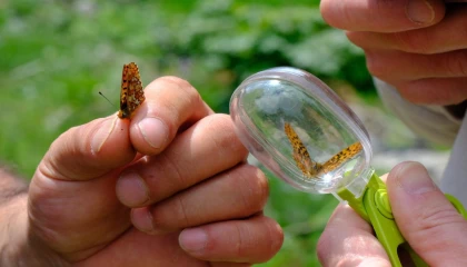 Kuzuyayla’nın zengin biyoçeşitliliği incelendi