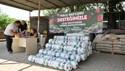 Manisa’da çilek üreticisine Büyükşehir’den destek