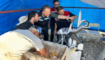 Mersin balıklarında erken cinsiyet tespiti için eğitim
