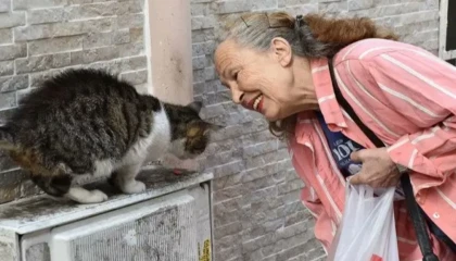 Sokak hayvanlarının “Panter Emel”i hayatını kaybetti