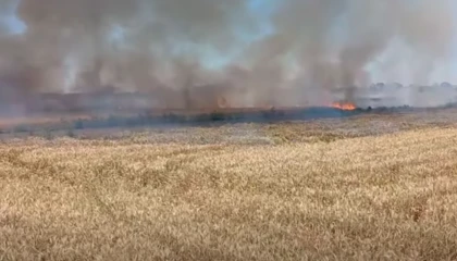 Uzunköprü’de buğday yangını korkuttu