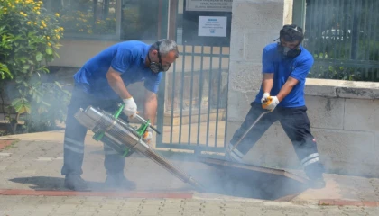 Antalya’da vektörel mücadele 4 koldan sürüyor
