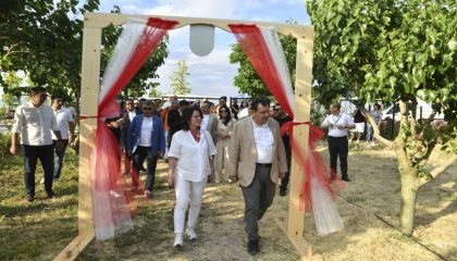 ATA Çiftliği’nde ilk dut toplandı