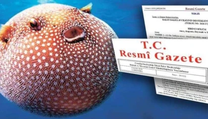 Balon Balığı avcılığı destekleri artırıldı... Zehirli türe destek 35 TL’ye yükseltildi