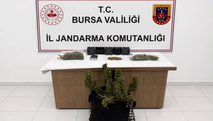 Bursa’da uyuşturucuya 3 gözaltı!
