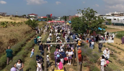 Çayırovalılar Lavanta Hasadı’nda buluştu