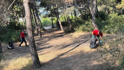 Güzelyalı Çamlıbel’de orman yangını riskine karşı temizlik çalışması