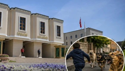 Halfeti’deki köpek saldırısıyla ilgili Mülkiye Müfettişi görevlendirildi