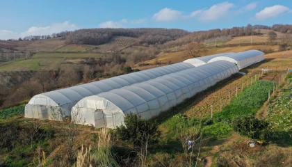 Kocaeli Büyükşehir tarımı geleceğe taşıyor
