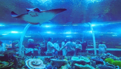 Kocaeli’de Körfez Aqua 7’den 70’e herkesi büyüledi