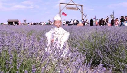 Konya Karatay’da Lavanta Bahçesi’nde festival hazırlığı