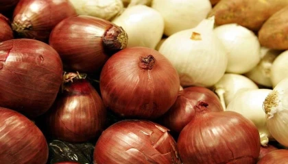 Kuru soğanda gümrük geçici yüzde 5’e indirildi