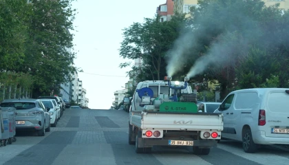 Maltepe’de ilaçlama çalışması hız kesmiyor